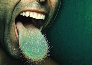 lengua-cactus